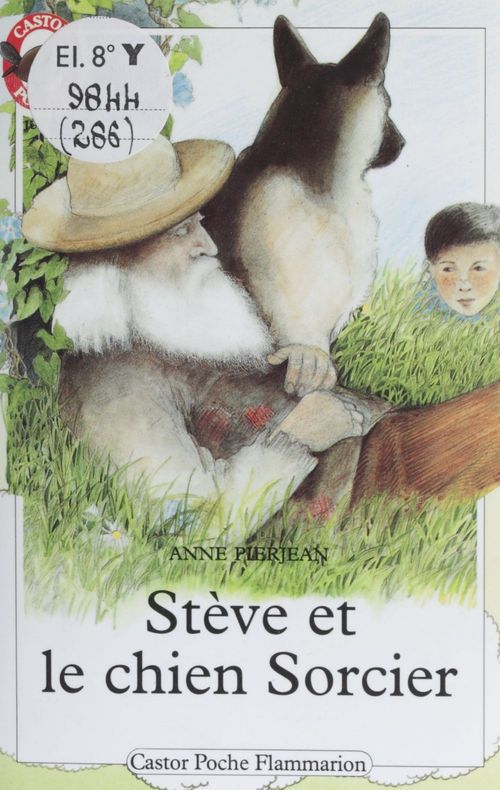 ebook cover of Stève et le chien sorcier, by Pierjean Anne