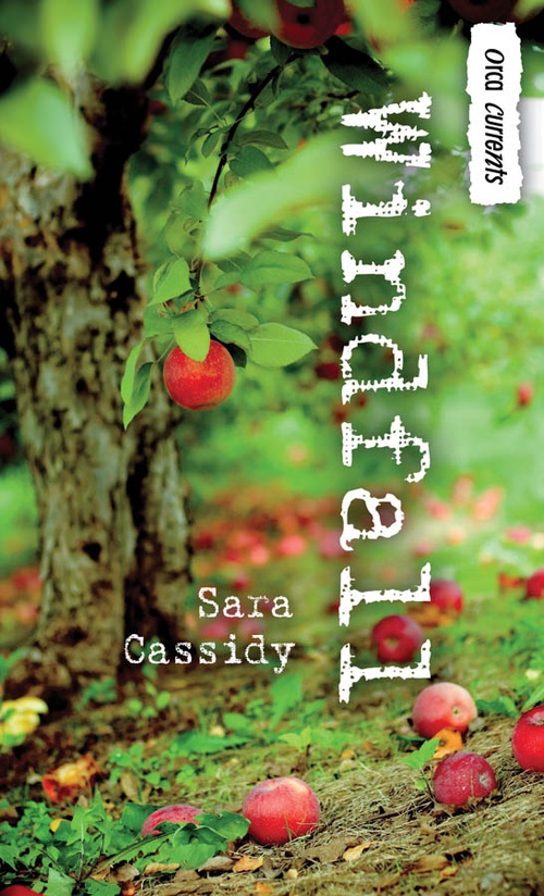 Couverture ebook de Windfall, de Sara Cassidy