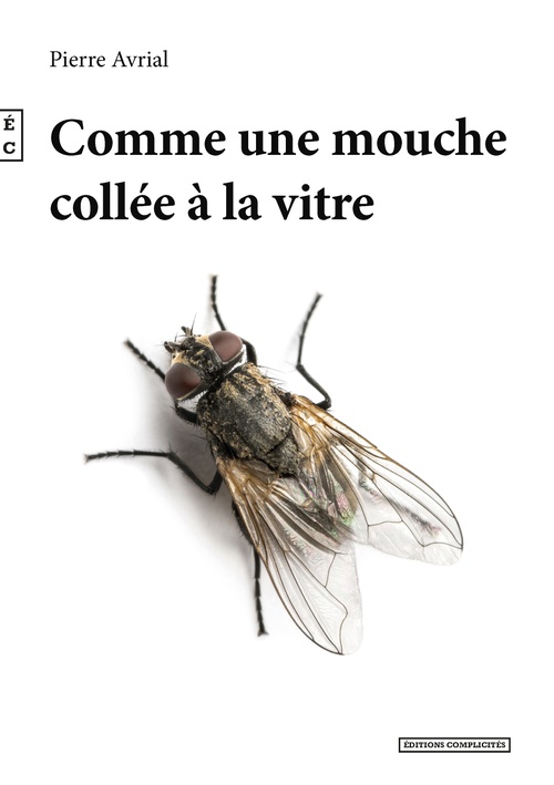 ebook cover of Comme une mouche collée a la vitre, by Pierre Avrial