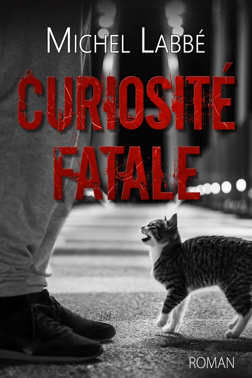 Couverture ebook de CURIOSITÉ FATALE, de Michel Labbé