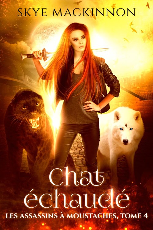 ebook cover of Chat échaudé, by Skye Mackinnon