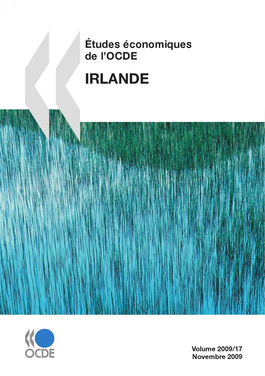 ebook cover of Études économiques de l'OCDE : Irlande 2009, by Collectif