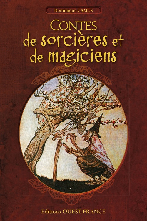 Couverture ebook de Contes de sorcières et de magiciens, de Dominique Camus