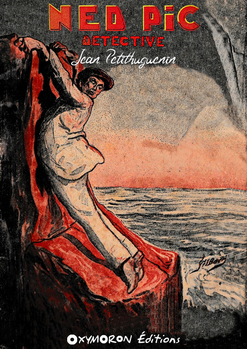 ebook cover of Ned Pic, détective, by Jean Petithuguenin
