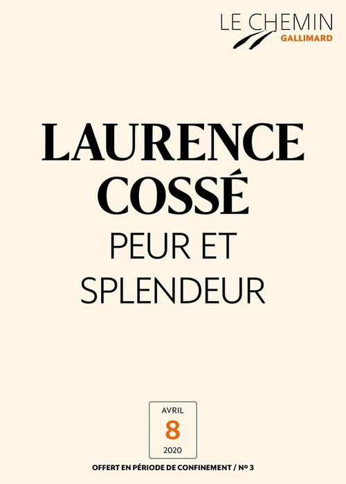 ebook cover of Le Chemin (N°03) - Peur et splendeur, by Laurence Cosse