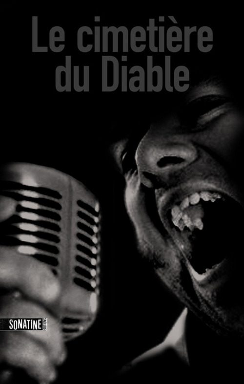 ebook cover of Le cimetière du diable, by