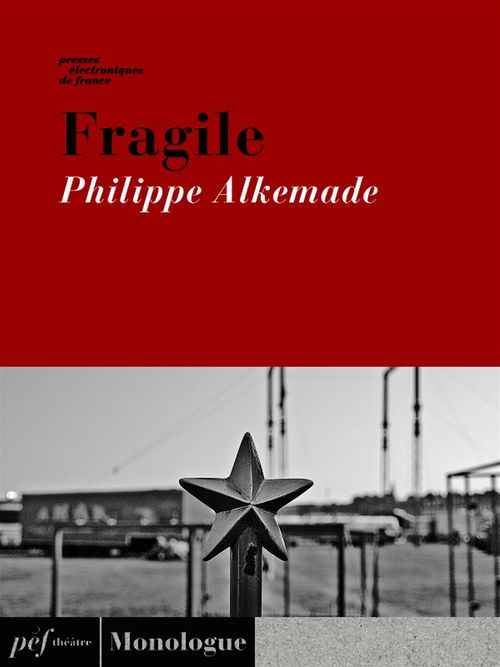 ebook cover of Fragile, by Philippe Alkemade