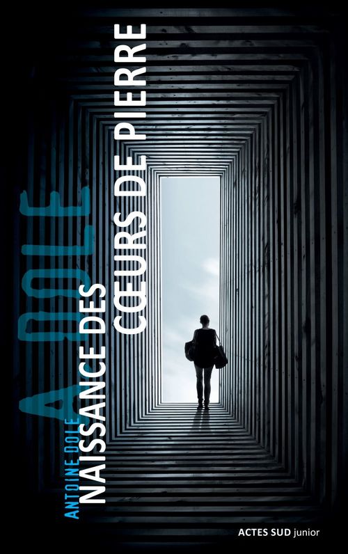 Couverture ebook de Naissance des coeurs de pierre, de Antoine Dole