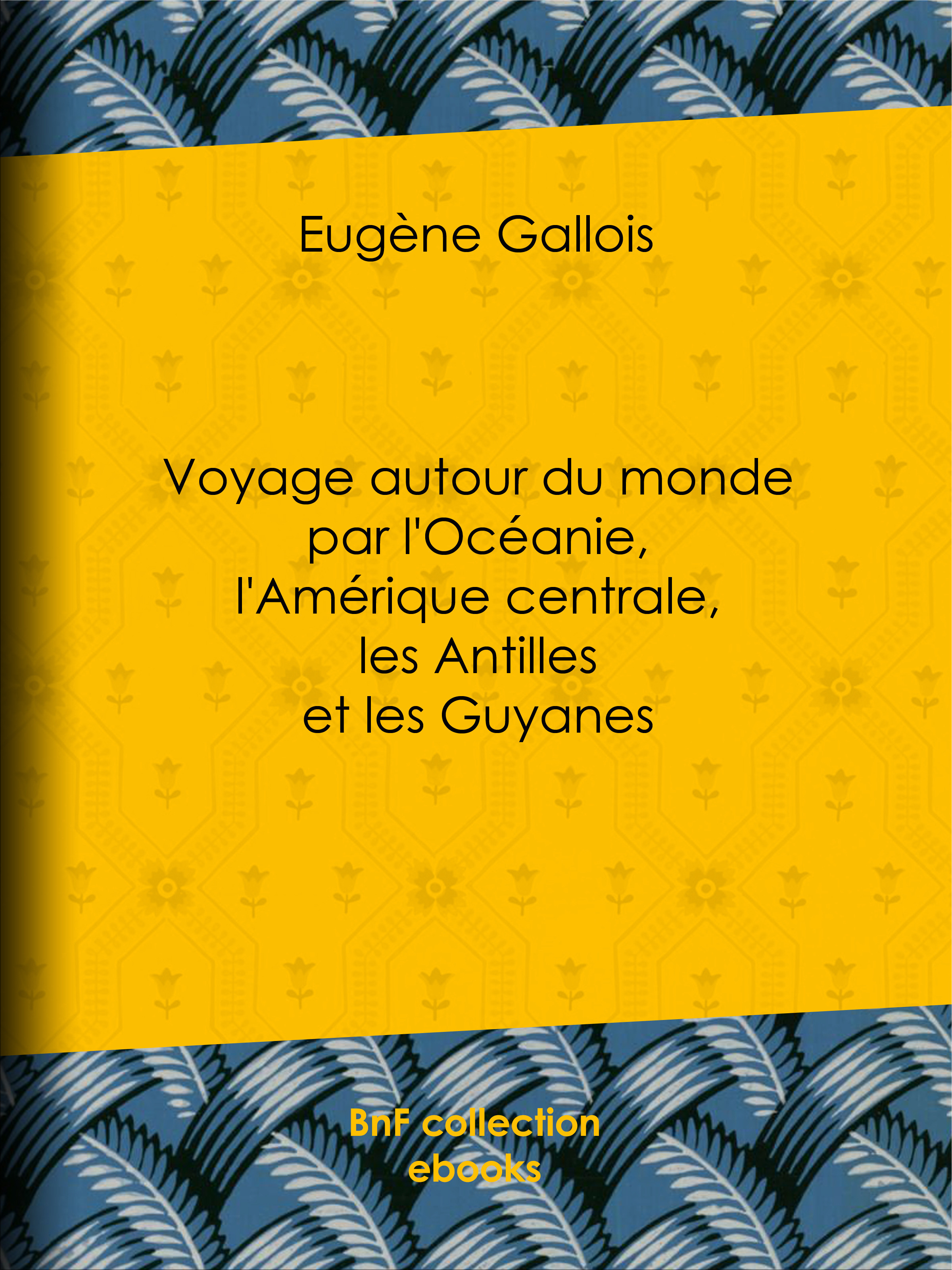 Couverture ebook de Voyage autour du monde par l'Océanie, l'Amérique centrale, les Antilles et les Guyanes, de Eugène Gallois