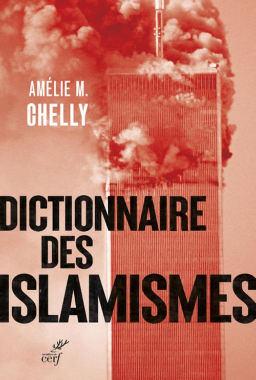 ebook cover of DICTIONNAIRE DES ISLAMISMES, by Amélie M. Chelly