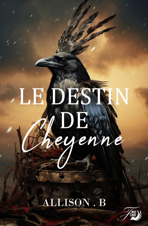 ebook cover of Le destin de Cheyenne, by Allison B