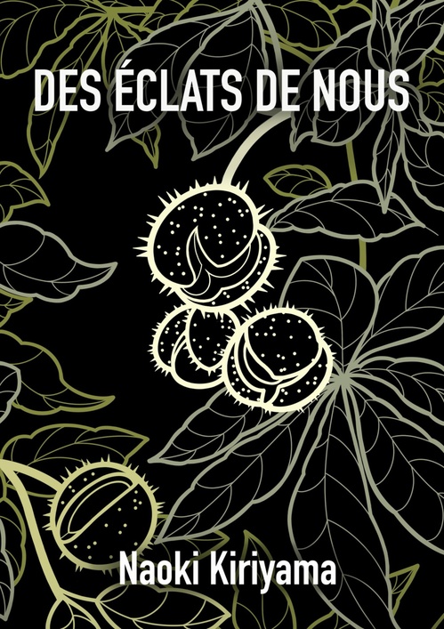 ebook cover of Des éclats de nous, by Naoki Kiriyama