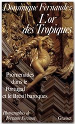 Couverture ebook de L'Or des Tropiques, de Dominique Fernandez, Ferrante Ferranti