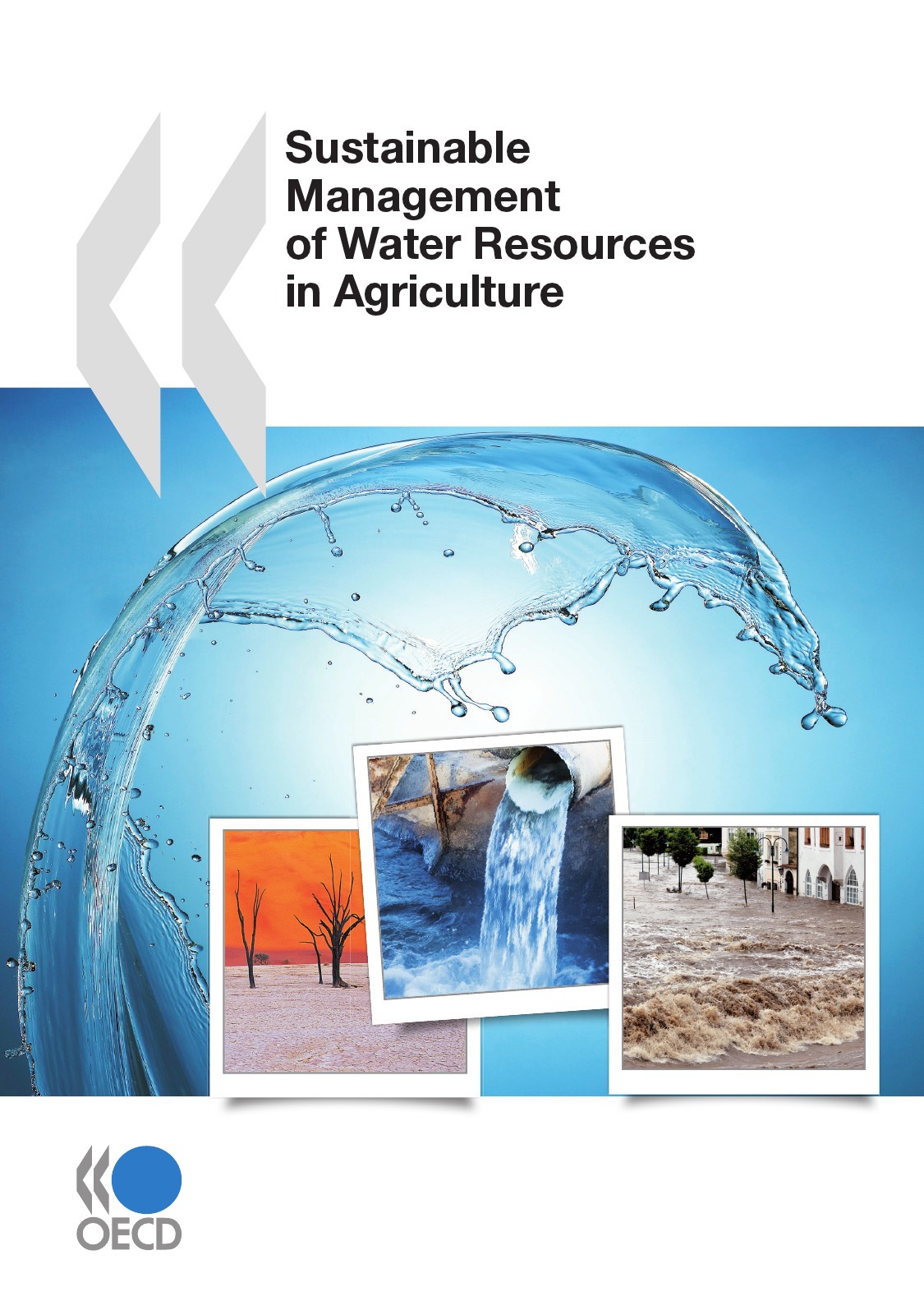 Couverture ebook de Sustainable Management of Water Resources in Agriculture, de Collective