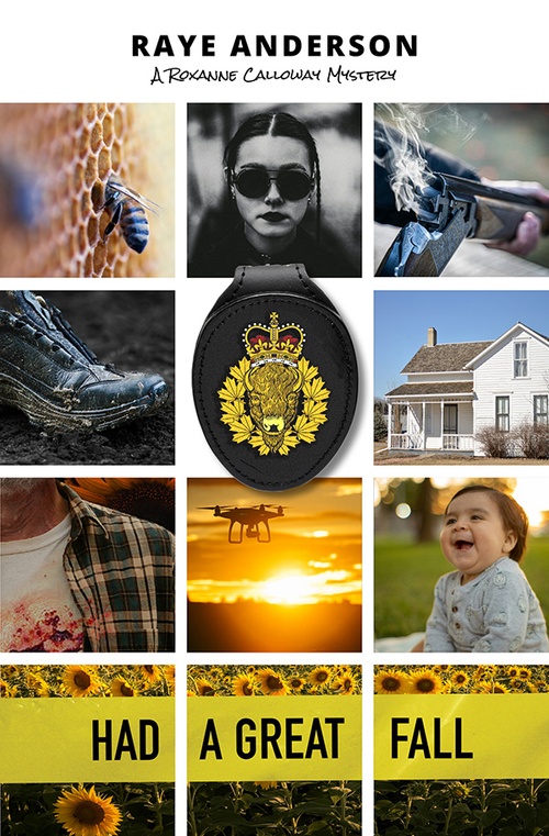 ebook cover of Had a Great Fall, by Raye Anderson