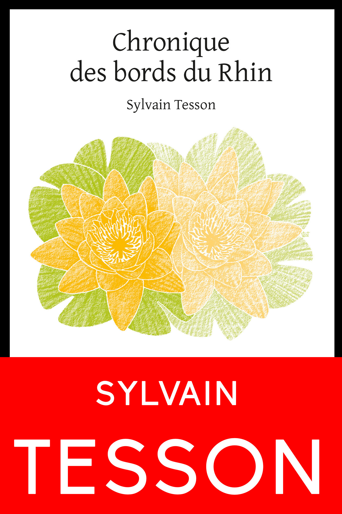 Couverture ebook de Chronique des bords du Rhin, de Sylvain Tesson