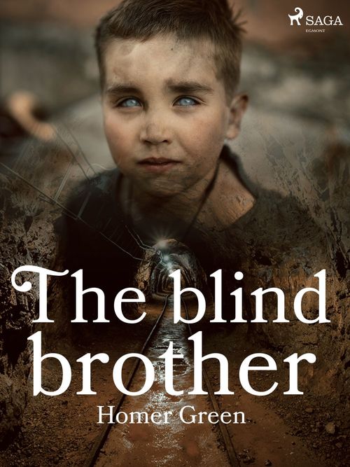 Couverture ebook de The Blind Brother, de Homer Green