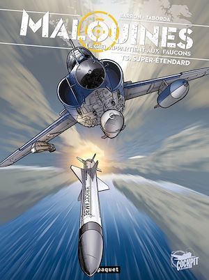 Couverture ebook de Malouines, le ciel appartient aux faucons 3, de Walther Taborda