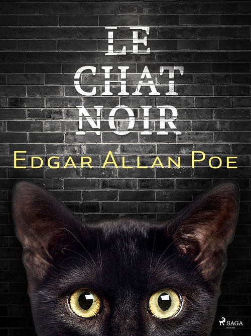 ebook cover of Le Chat noir, by Edgar Allan Poe