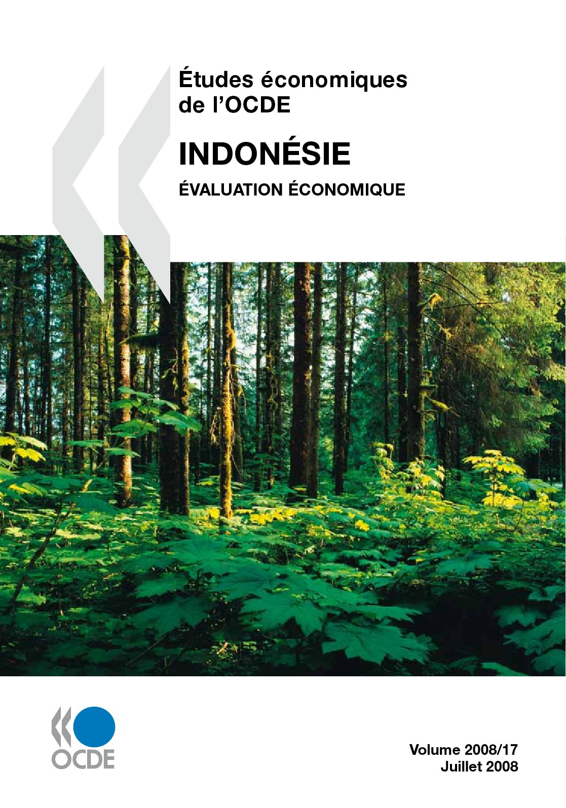 Couverture ebook de Études économiques de l'OCDE : Indonésie 2008, de Collectif