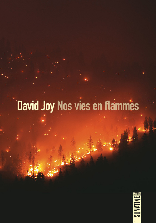 ebook cover of Nos vies en flammes, by David Joy