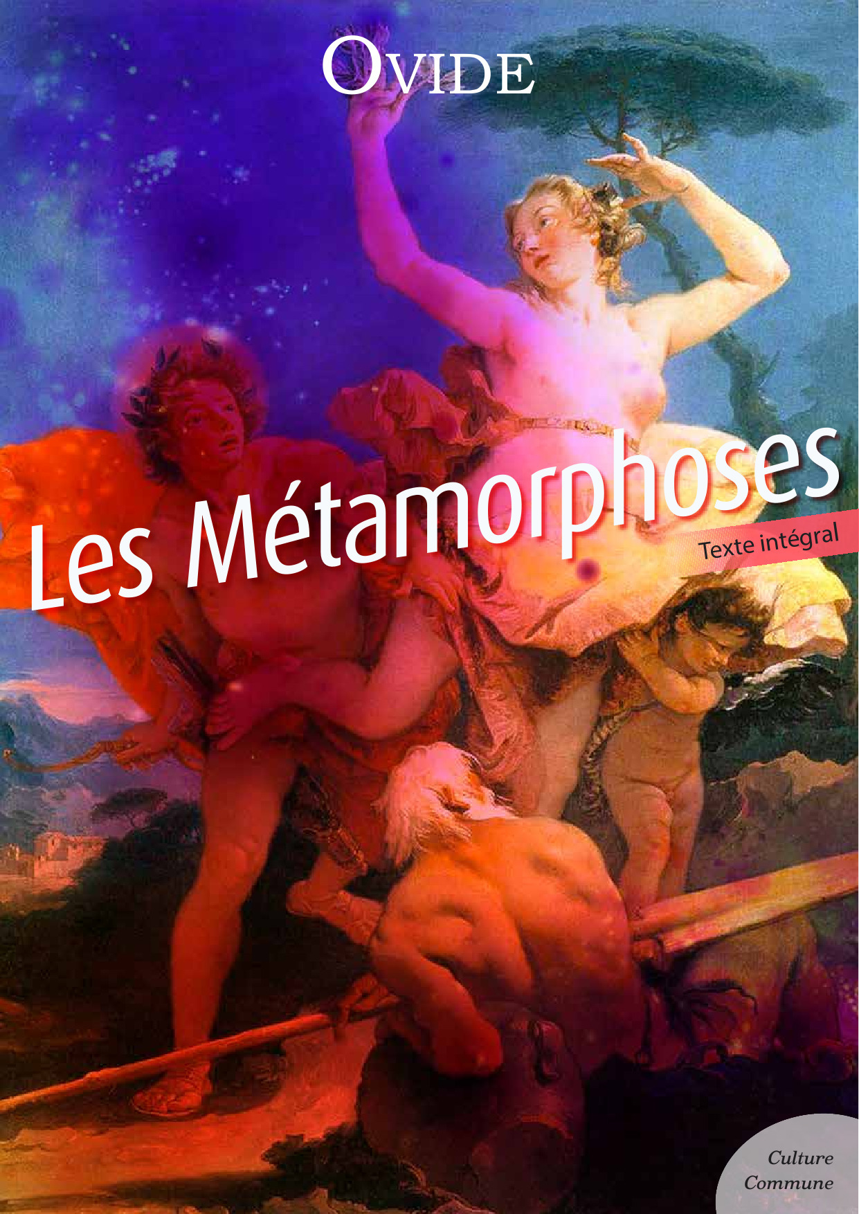 Couverture ebook de Les Métamorphoses, de Ovide