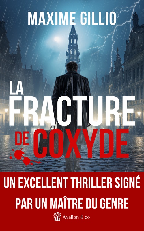 ebook cover of La Fracture de Coxyde, by Maxime Gillio