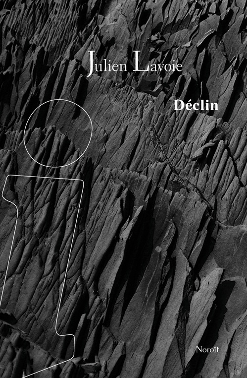 ebook cover of Déclin, by Julien Lavoie