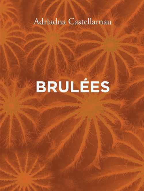 Couverture ebook de Brûlée, de Ariadna Castellarnau, Arthur Pumarelli