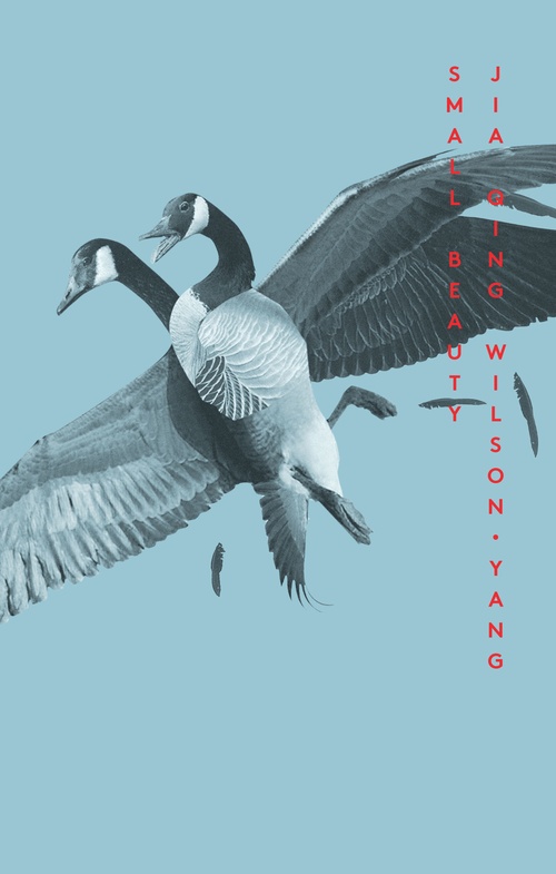 ebook cover of Small Beauty, by Jiaqing Wilson-Yang