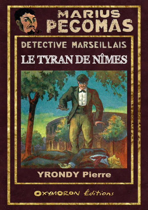 ebook cover of Le tyran de Nîmes, by Pierre Yrondy