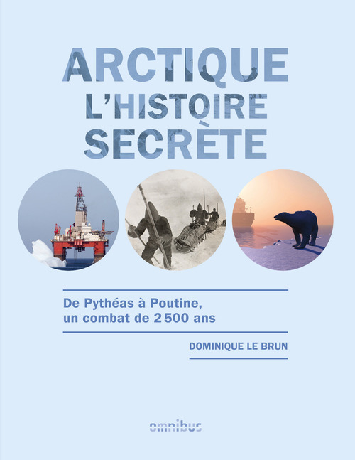 Couverture ebook de Arctique - L'histoire secrète, de Dominique Le Brun