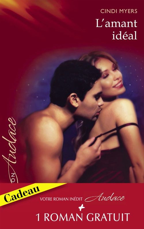 Couverture ebook de L'amant idéal - Indécente proposition (Harlequin Audace), de Kristin Hardy, Cindi Myers