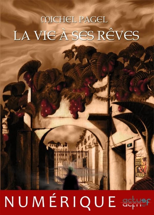 ebook cover of La vie à ses rêves, by Michel Pagel