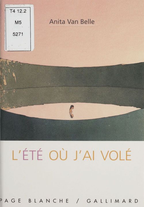 ebook cover of L'Été où j'ai volé, by Anita Van belle