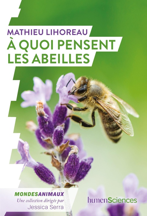 ebook cover of À quoi pensent les abeilles ?, by Mathieu Lihoreau