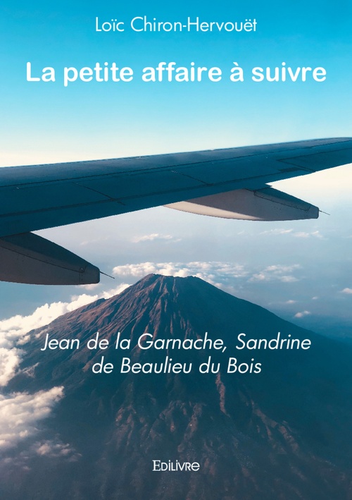 ebook cover of La petite affaire à suivre, by Loic Chiron-Hervouet