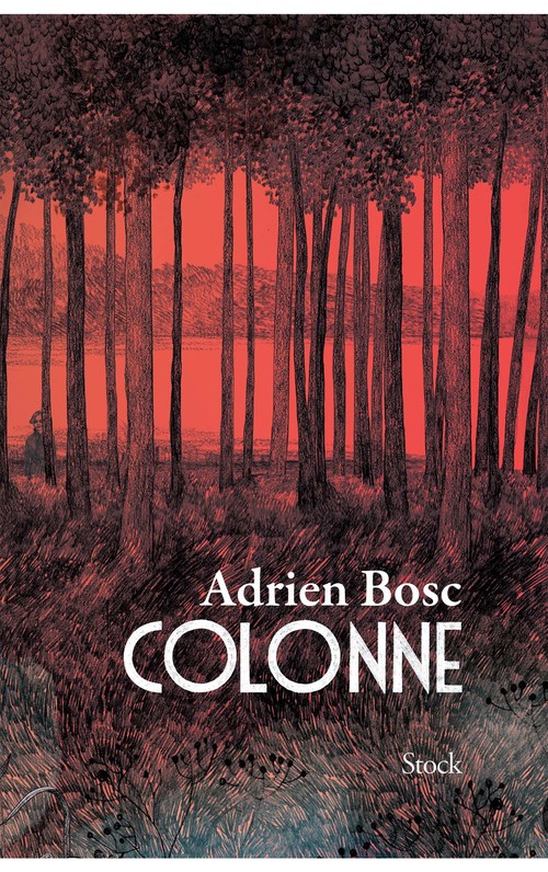 Couverture ebook de Colonne, de Adrien Bosc