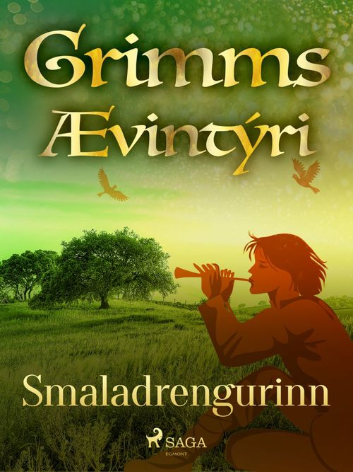 Couverture ebook de Smaladrengurinn, de GrimmsbræðUr