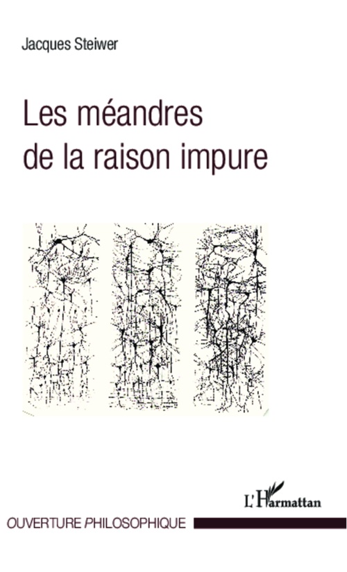 ebook cover of Les méandres de la raison impure, by Jacques Steiwer