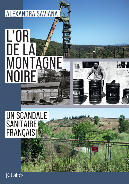 ebook cover of L'or de la Montagne Noire, by Alexandra Saviana