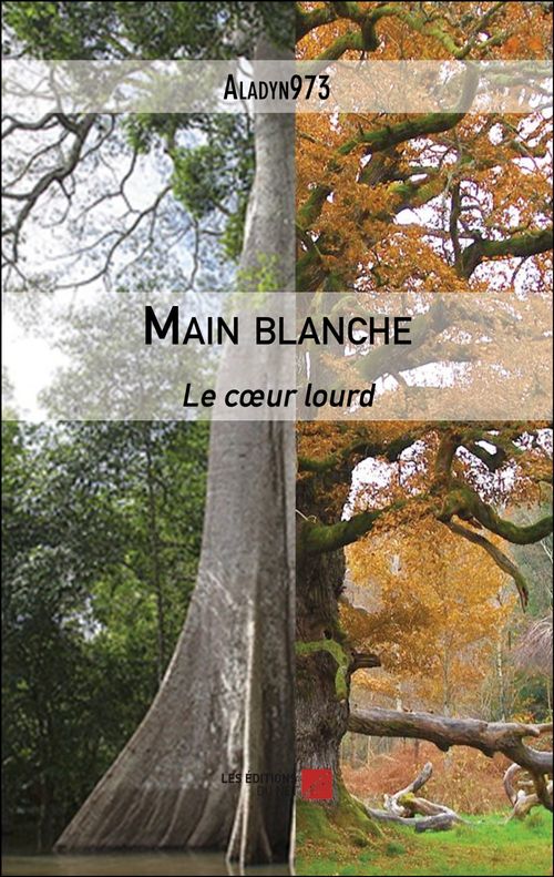 Couverture ebook de Main blanche, de Aladyn973