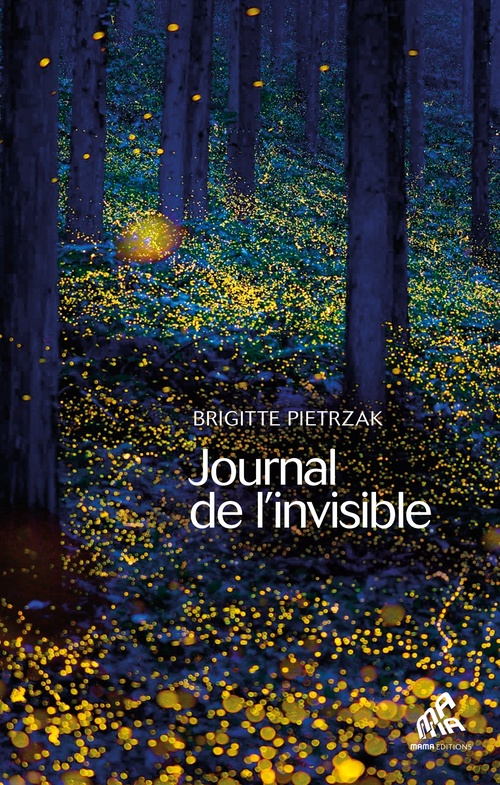 Couverture ebook de Journal de l'invisible, de Brigitte Pietrzak