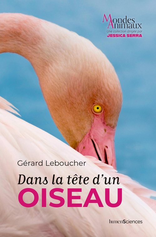 ebook cover of Dans la tête d'un oiseau, by Gérard Leboucher