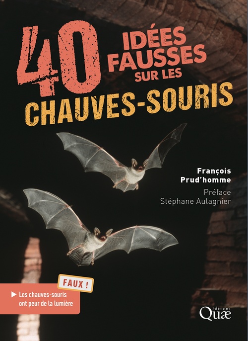 Couverture ebook de 40 idées fausses sur les chauves-souris, de François Prud'homme