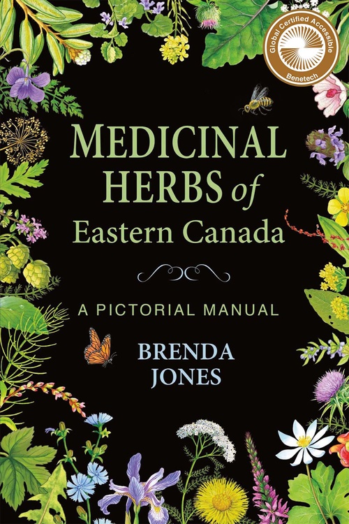 Couverture ebook de Medicinal Herbs of Eastern Canada, de Brenda Jones