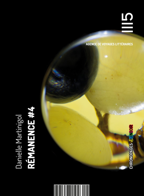 ebook cover of Rémanence #4, by Danielle Martinigol