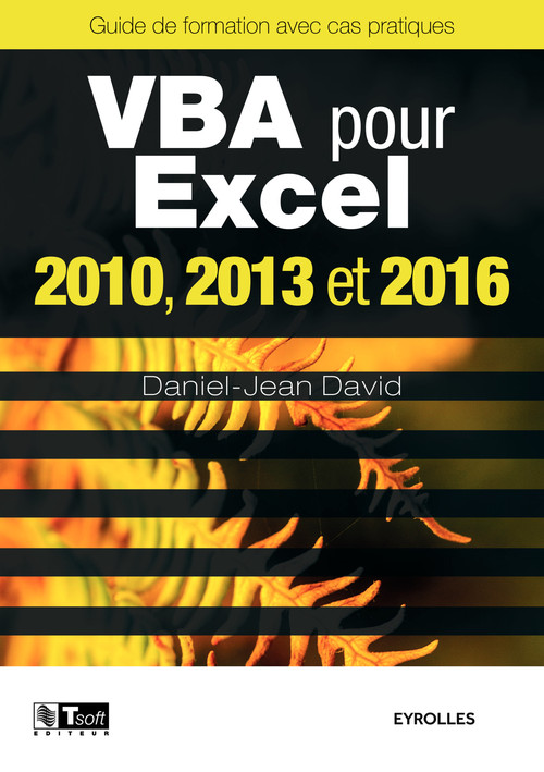 ebook cover of VBA pour Excel 2010, 2013 et 2016, by Daniel-jean David
