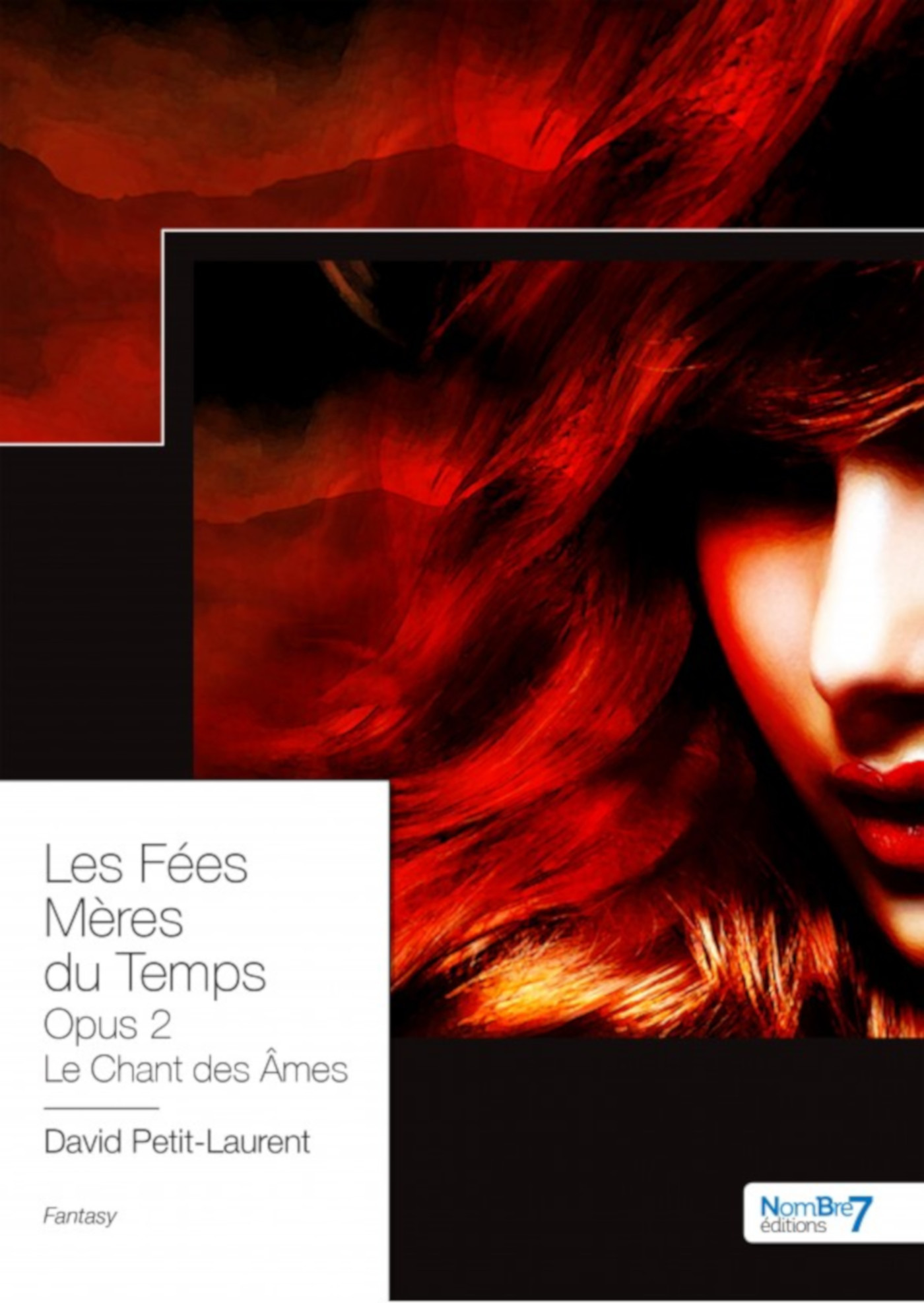 Couverture ebook de Les Fées Mères du Temps - Opus 2, de David Petit-Laurent