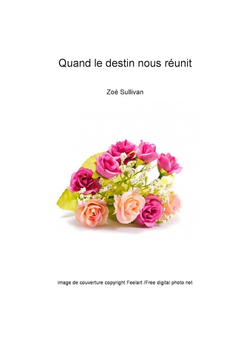 ebook cover of Quand le destin nous réunit, by Zoe Sullivan